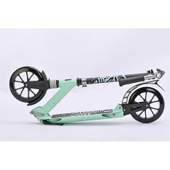 City scooter (2) копия